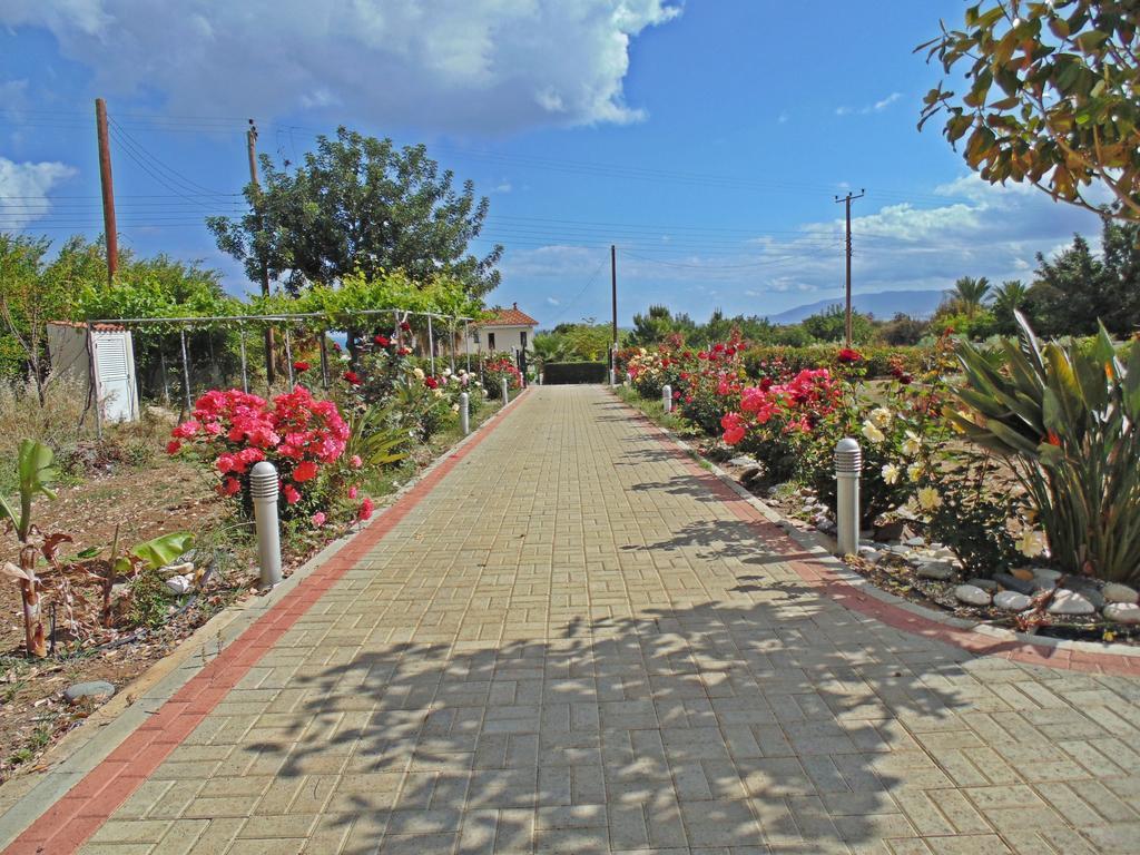Eliofos Luxury Villa Polis 外观 照片