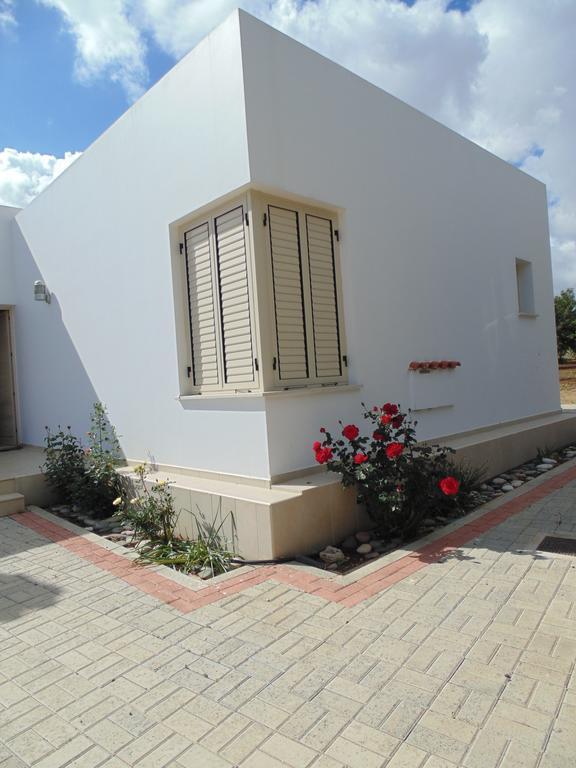 Eliofos Luxury Villa Polis 外观 照片