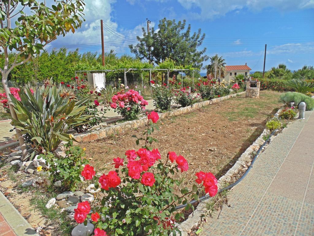 Eliofos Luxury Villa Polis 外观 照片
