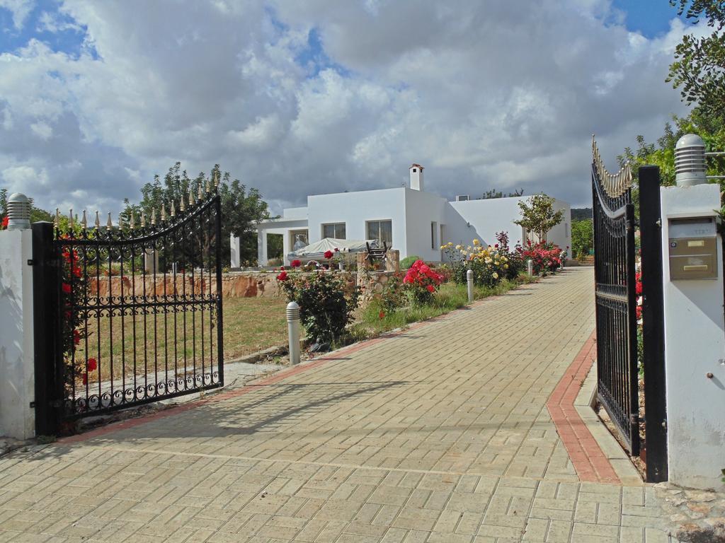 Eliofos Luxury Villa Polis 外观 照片
