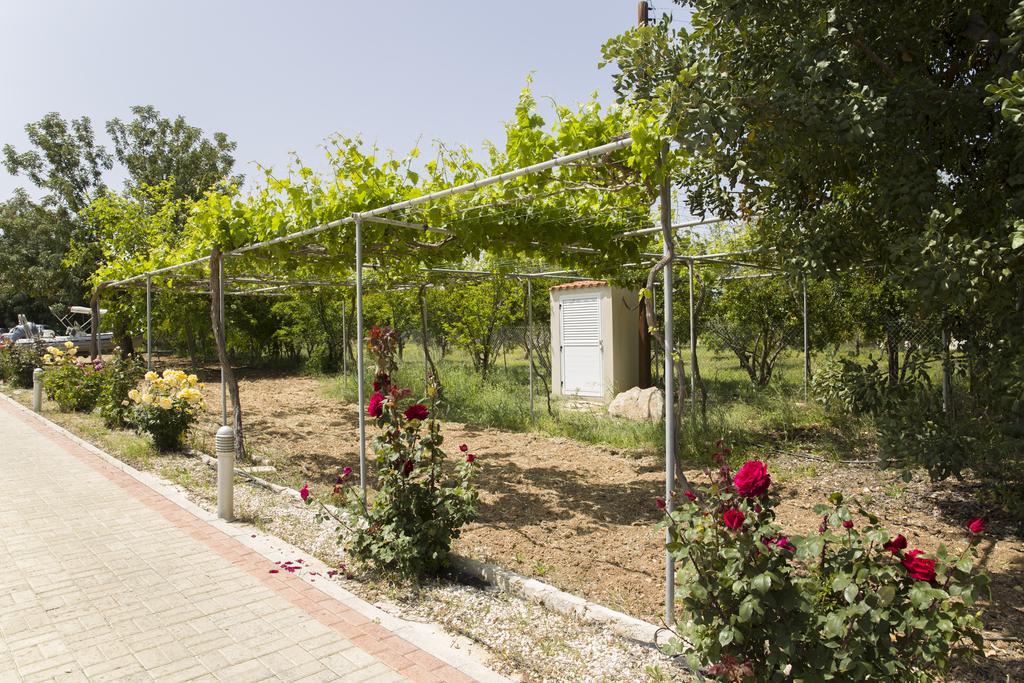 Eliofos Luxury Villa Polis 外观 照片