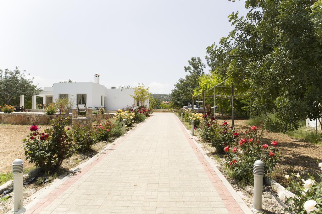 Eliofos Luxury Villa Polis 外观 照片