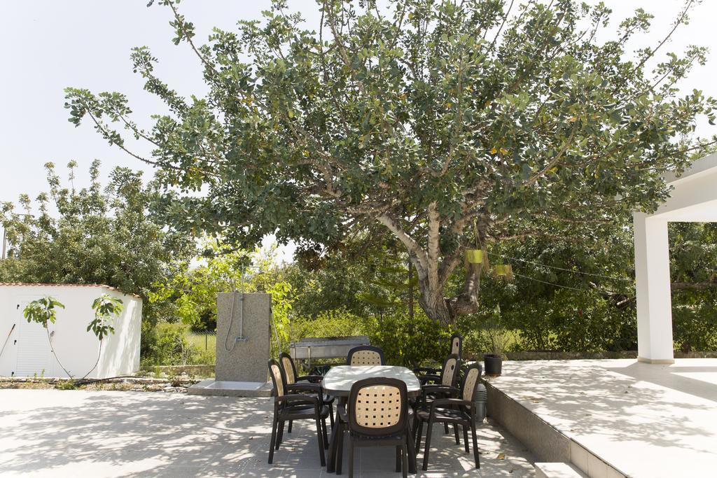 Eliofos Luxury Villa Polis 外观 照片